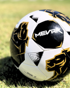 Balón de Fútbol Cosido a Mano Lion