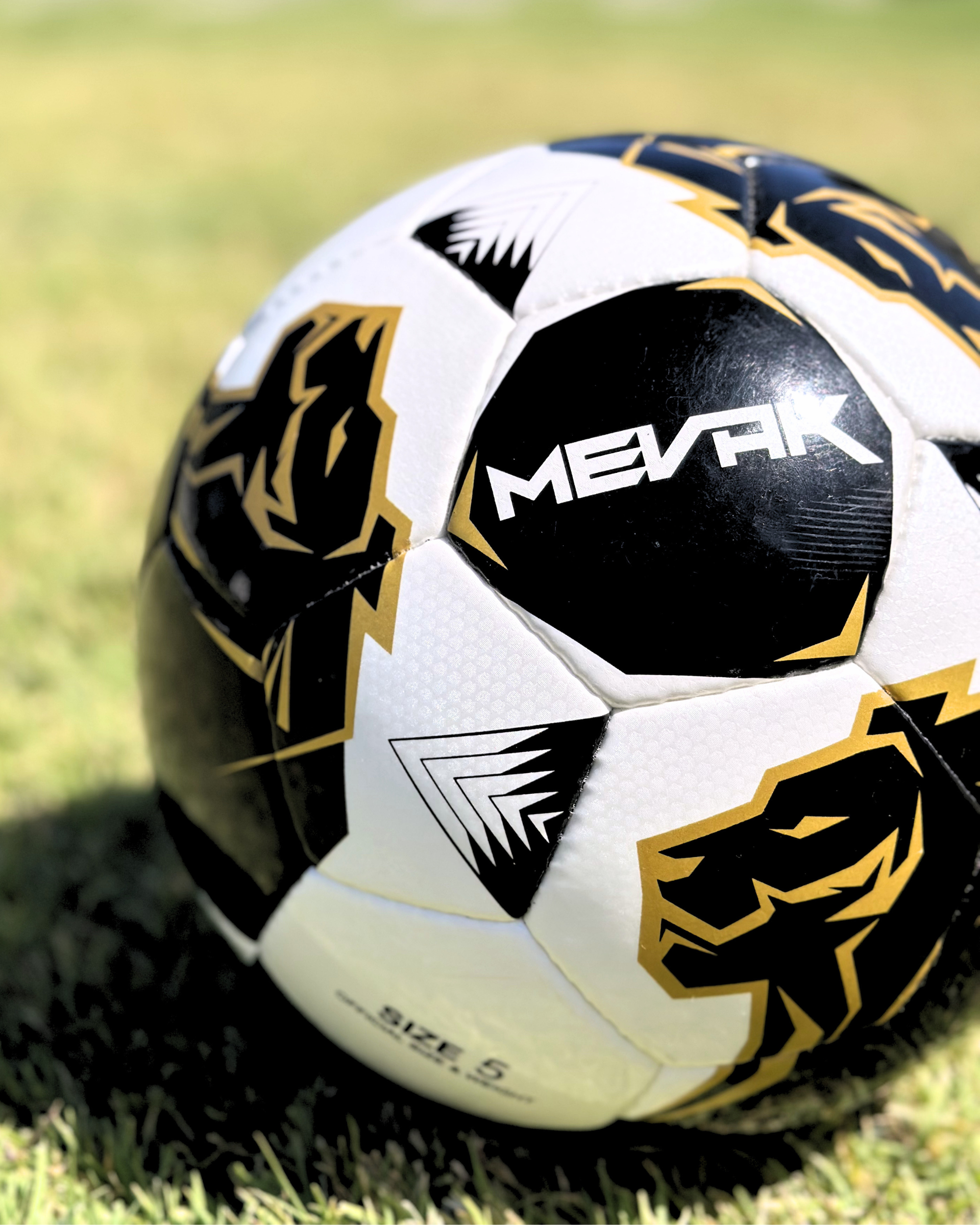 Balón de Fútbol Cosido a Mano Lion