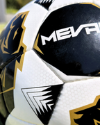 Balón de Fútbol Cosido a Mano Lion