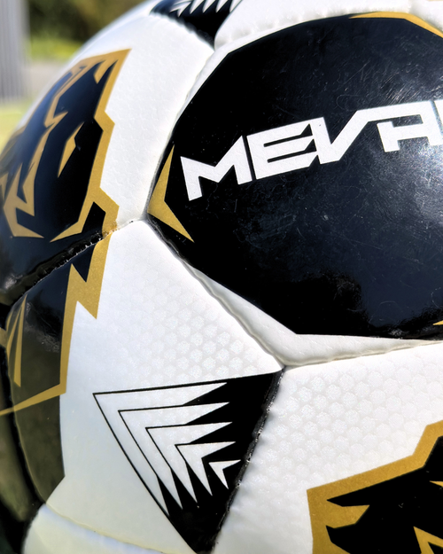 Balón de Fútbol Cosido a Mano Lion